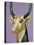 Gilded and Stuccoed Wooden Head of the Sacred Cow, Thebes, Egypt-Robert Harding-Stretched Canvas