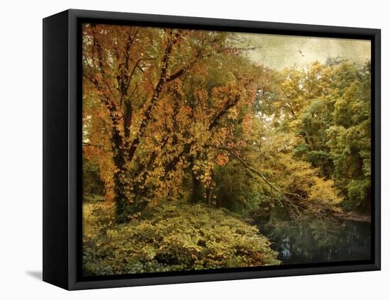Gilded Autumn-Jessica Jenney-Framed Stretched Canvas