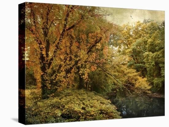 Gilded Autumn-Jessica Jenney-Stretched Canvas