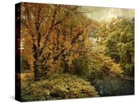 Gilded Autumn-Jessica Jenney-Stretched Canvas