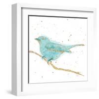 Gilded Bird I Teal-Shirley Novak-Framed Art Print