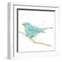 Gilded Bird I Teal-Shirley Novak-Framed Art Print