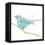 Gilded Bird I Teal-Shirley Novak-Framed Stretched Canvas