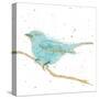 Gilded Bird I Teal-Shirley Novak-Stretched Canvas