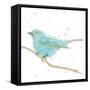 Gilded Bird I Teal-Shirley Novak-Framed Stretched Canvas