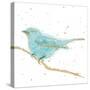 Gilded Bird I Teal-Shirley Novak-Stretched Canvas