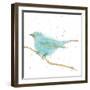 Gilded Bird I Teal-Shirley Novak-Framed Art Print