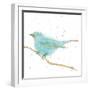 Gilded Bird I Teal-Shirley Novak-Framed Art Print