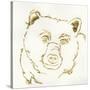 Gilded Black Bear-Chris Paschke-Stretched Canvas