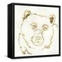 Gilded Black Bear-Chris Paschke-Framed Stretched Canvas