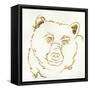 Gilded Black Bear-Chris Paschke-Framed Stretched Canvas