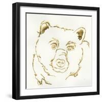 Gilded Black Bear-Chris Paschke-Framed Art Print