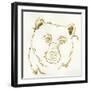 Gilded Black Bear-Chris Paschke-Framed Art Print