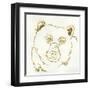 Gilded Black Bear-Chris Paschke-Framed Art Print