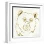 Gilded Black Bear-Chris Paschke-Framed Art Print