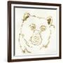 Gilded Black Bear-Chris Paschke-Framed Art Print