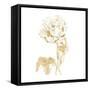 Gilded Botanical VII Sq-Wild Apple Portfolio-Framed Stretched Canvas