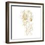 Gilded Botanical VIII Sq-Wild Apple Portfolio-Framed Art Print