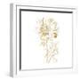 Gilded Botanical VIII Sq-Wild Apple Portfolio-Framed Art Print