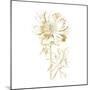 Gilded Botanical VIII Sq-Wild Apple Portfolio-Mounted Art Print