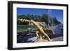 Gilded Bronze Statues, Grand Cascade-null-Framed Giclee Print