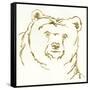 Gilded Brown Bear-Chris Paschke-Framed Stretched Canvas