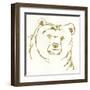 Gilded Brown Bear-Chris Paschke-Framed Art Print