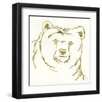 Gilded Brown Bear-Chris Paschke-Framed Art Print