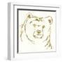 Gilded Brown Bear-Chris Paschke-Framed Art Print