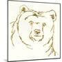 Gilded Brown Bear-Chris Paschke-Mounted Art Print