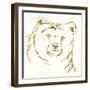 Gilded Brown Bear-Chris Paschke-Framed Art Print