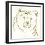 Gilded Brown Bear-Chris Paschke-Framed Art Print