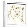 Gilded Brown Bear-Chris Paschke-Framed Art Print