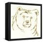 Gilded Brown Bear-Chris Paschke-Framed Stretched Canvas