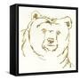 Gilded Brown Bear-Chris Paschke-Framed Stretched Canvas