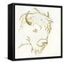 Gilded Buffalo-Chris Paschke-Framed Stretched Canvas