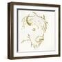 Gilded Buffalo-Chris Paschke-Framed Art Print