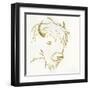 Gilded Buffalo-Chris Paschke-Framed Art Print