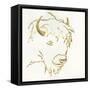 Gilded Buffalo-Chris Paschke-Framed Stretched Canvas