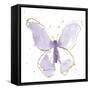 Gilded Butterflies II Lavender-Shirley Novak-Framed Stretched Canvas