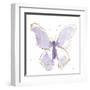 Gilded Butterflies II Lavender-Shirley Novak-Framed Art Print