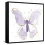 Gilded Butterflies II Lavender-Shirley Novak-Framed Stretched Canvas