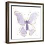 Gilded Butterflies II Lavender-Shirley Novak-Framed Art Print