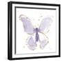 Gilded Butterflies II Lavender-Shirley Novak-Framed Art Print