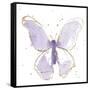 Gilded Butterflies II Lavender-Shirley Novak-Framed Stretched Canvas