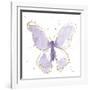 Gilded Butterflies II Lavender-Shirley Novak-Framed Art Print