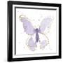 Gilded Butterflies II Lavender-Shirley Novak-Framed Art Print