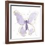 Gilded Butterflies II Lavender-Shirley Novak-Framed Art Print