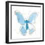 Gilded Butterflies II-Shirley Novak-Framed Art Print