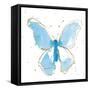 Gilded Butterflies II-Shirley Novak-Framed Stretched Canvas